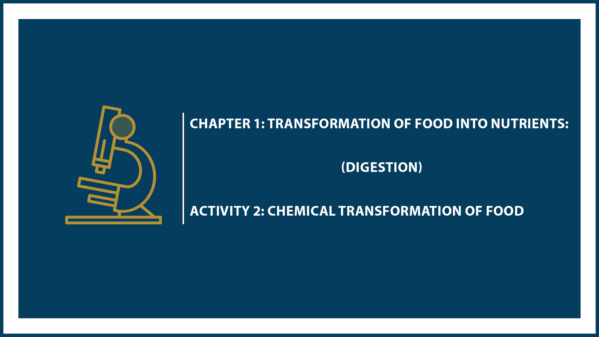 Chapter 1: Digestion - Activity 2: Chemical Transformation of Food